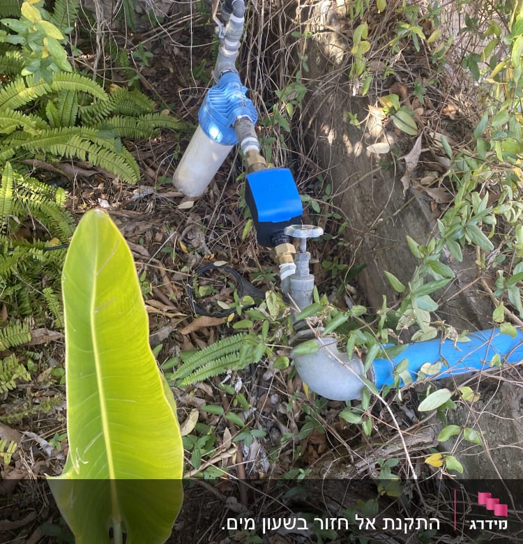 צינור מים עם ברזים ומסנן כחול בגינה
